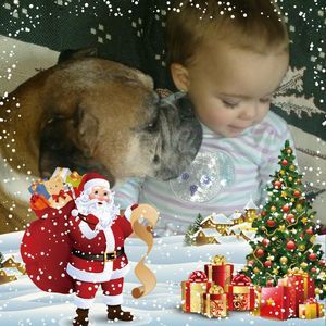 Meet your Posher, Bobbie